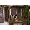 Figura di decorazione Clayre & Eef COW 14x12x7 cm