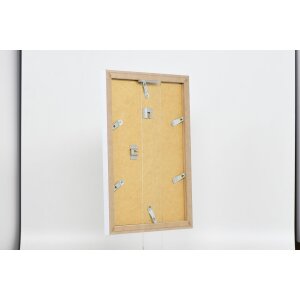 Cornice effetto 2310 bianca 40x60 cm vetro antiriflesso