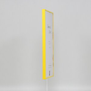 Cornice in plastica effetto Art yellow 23x70 cm vetro acrilico