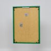 Cornice in plastica effetto Art green 23x70 cm vetro acrilico