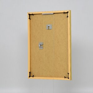 Cornice in plastica effetto Art gold 35x50 cm vetro acrilico