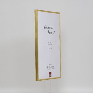 Cornice in plastica effetto Art gold 35x50 cm vetro acrilico