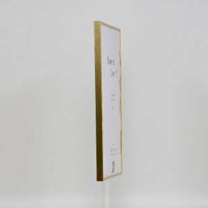 Cornice in plastica effetto Art gold 35x50 cm vetro acrilico