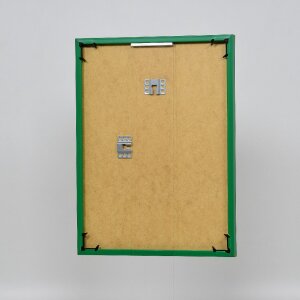 Cornice in plastica effetto Art green 50x50 cm vetro acrilico