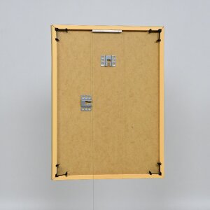 Cornice in plastica ad effetto Art gold 20x30 cm vetro da museo