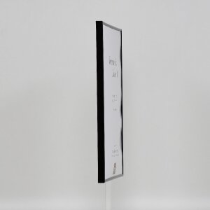 Cornice in plastica ad effetto Art black 20x30 cm vetro museale