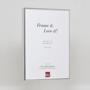 Effetto Quadro cornice in alluminio 18x24 cm argento lucido con vetro museale