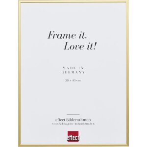 Cornice effetto alluminio Quadro 21x28 cm vetro museale oro