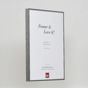 Effect Quadro Cornice Alluminio 30x45 cm Antikargento con Vetro Museo