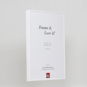 Cornice per foto in alluminio Effect 45x60 cm bianca con vetro museale
