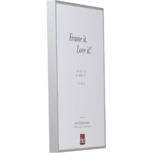 Cornice per foto in alluminio Effect 50x50 cm argento con vetro museale