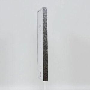 Cornice per foto in alluminio Effect 62x93 cm con finitura argento lucido e vetro museale