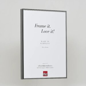 Cornice per foto in alluminio Effect 61x91,5 cm antico argento vetro museale