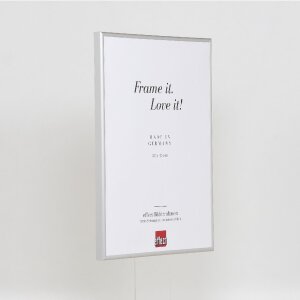 Cornice per foto in alluminio Effect Serie 1 con vetro museale argento 50 x 65 cm