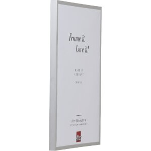 Cornice per foto in alluminio Effect Serie 2 con vetro museale argento 25x50 cm