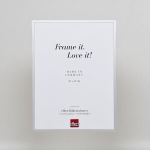 Cornice per foto in alluminio Effect Serie 2 con vetro museo argento 50x75 cm