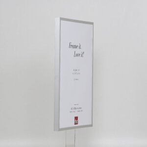 Cornice per foto in alluminio Effect Serie 2 con vetro museo argento 50x75 cm