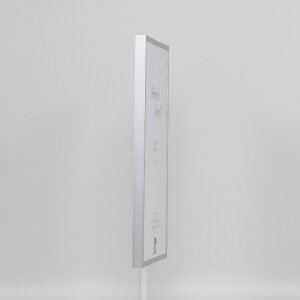 Cornice per foto in alluminio Effect Serie 2 con vetro museo argento 50x75 cm