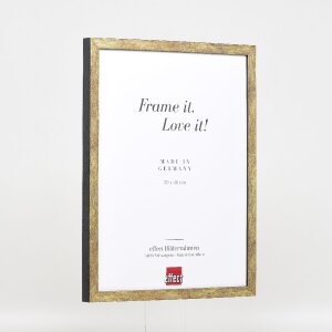 Cornice per foto in legno Effect 42 Vetro museale Antikgold 50x60 cm