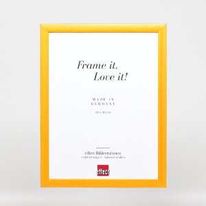 Cornice per foto in legno Effect Profilo 43 Miele 23x70 cm Vetro Museo