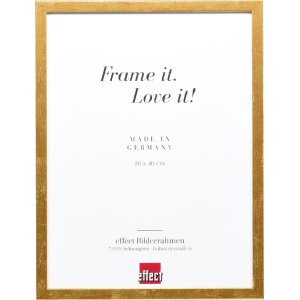 Cornice per foto effect Profil 51 antikgold 50x60 cm con...