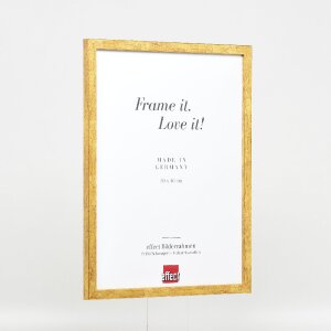 Cornice per foto effect Profil 51 antikgold 50x60 cm con vetro museale