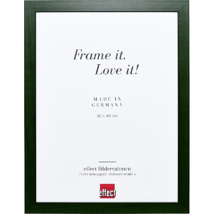Cornice per foto in legno Effect Profil Top Pro verde pino 25x60 cm Vetro museo