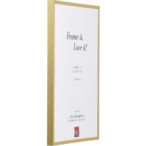 Cornice antincendio Effect A1 Alu Serie 2 Oro 50x75 cm Vetro museale
