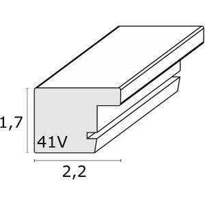 Deknudt cornice doppia in plastica S41VD1 argento 2 foto 15x20 cm