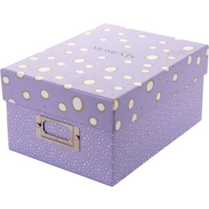 Goldbuch Photo Box Paris 700 foto 10x15 cm