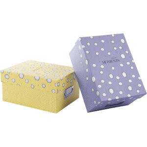 Goldbuch Photo Box Paris 700 foto 10x15 cm