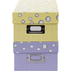 Goldbuch Photo Box Paris 700 foto 10x15 cm