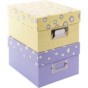 Goldbuch Photo Box Paris 700 foto 10x15 cm