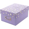 Goldbuch Photo Box Paris 700 foto 10x15 cm