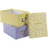 Goldbuch Photo Box Paris 700 foto 10x15 cm