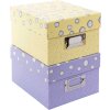 Goldbuch Photo Box Paris 700 foto 10x15 cm
