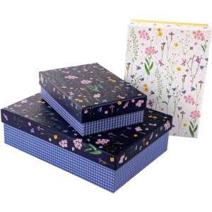 Libro doro Set di cartone Prato dei miracoli 3 scatole