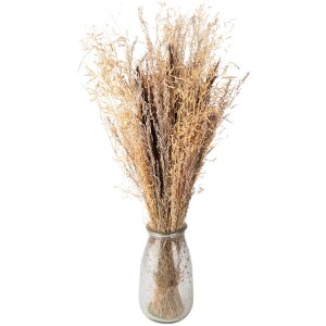 Clayre & Eef 5DF0001 Fiori secchi 18x6x60 cm Marrone
