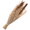 Clayre & Eef 5DF0001 Fiori secchi 18x6x60 cm Marrone