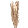 Clayre & Eef 5DF0002 Fiore secco 25x8x100 cm Beige