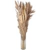 Clayre & Eef 5DF0002 Fiore secco 25x8x100 cm Beige