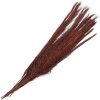 Clayre & Eef 5DF0004 Fiori secchi 10x5x85 cm Rosso