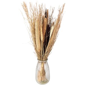 Clayre & Eef 5DF0006 Fiori secchi 18x6x60 cm Beige