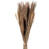 Clayre & Eef 5DF0006 Fiori secchi 18x6x60 cm Beige