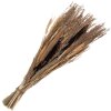 Clayre & Eef 5DF0006 Fiori secchi 18x6x60 cm Beige