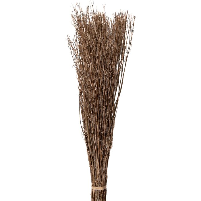 Clayre & Eef 5DF0007 Fiori secchi 20x6x80 cm Beige
