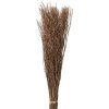 Clayre & Eef 5DF0007 Fiori secchi 20x6x80 cm Beige