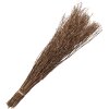 Clayre & Eef 5DF0007 Fiori secchi 20x6x80 cm Beige