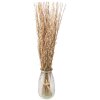 Clayre & Eef 5DF0007 Fiori secchi 20x6x80 cm Beige