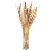 Clayre & Eef 5DF0008 Fiori secchi 20x6x80 cm Beige